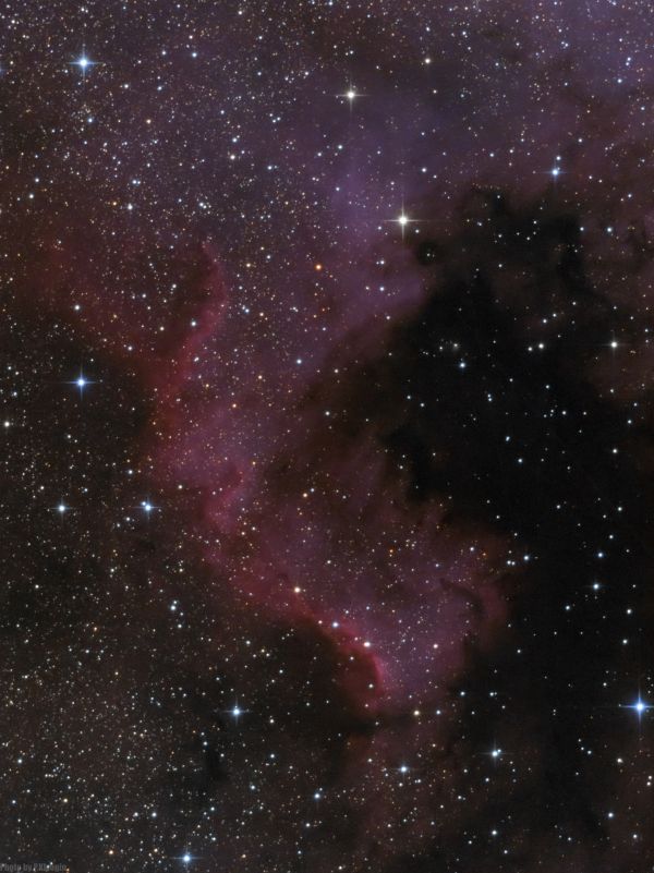 NGC7000 Часть туманности Северная Америка в созвездии Лебедя. - астрофотография