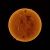 Astrophotographer Maksim Selivanov